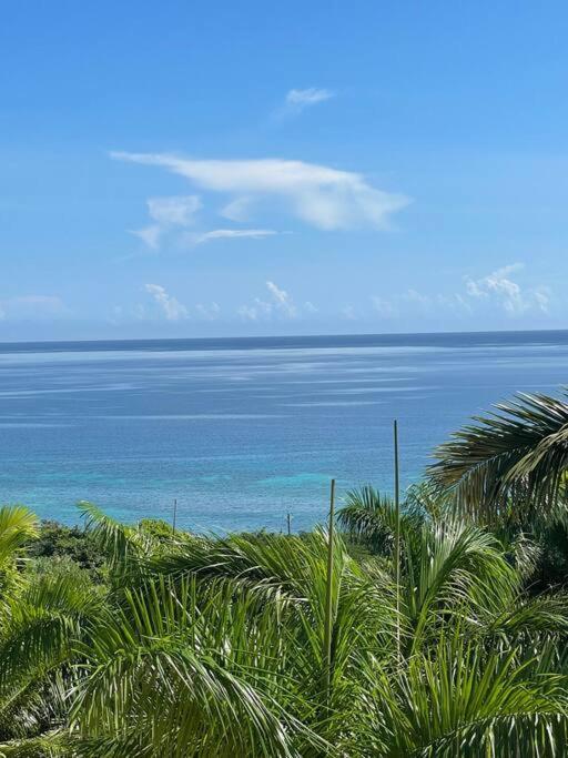 Spring Garden Mobay Resort Luxurious Apartments Montego Bay Eksteriør bilde