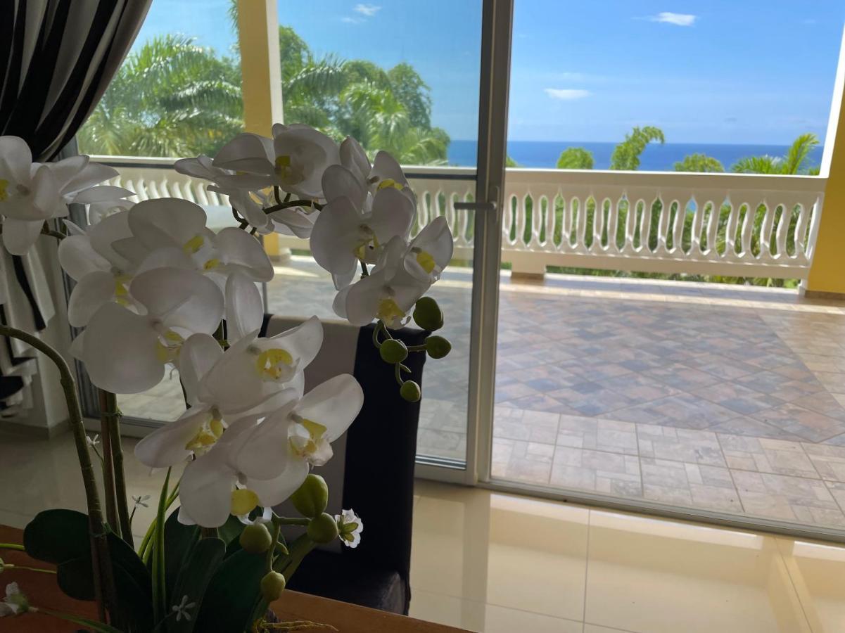 Spring Garden Mobay Resort Luxurious Apartments Montego Bay Eksteriør bilde